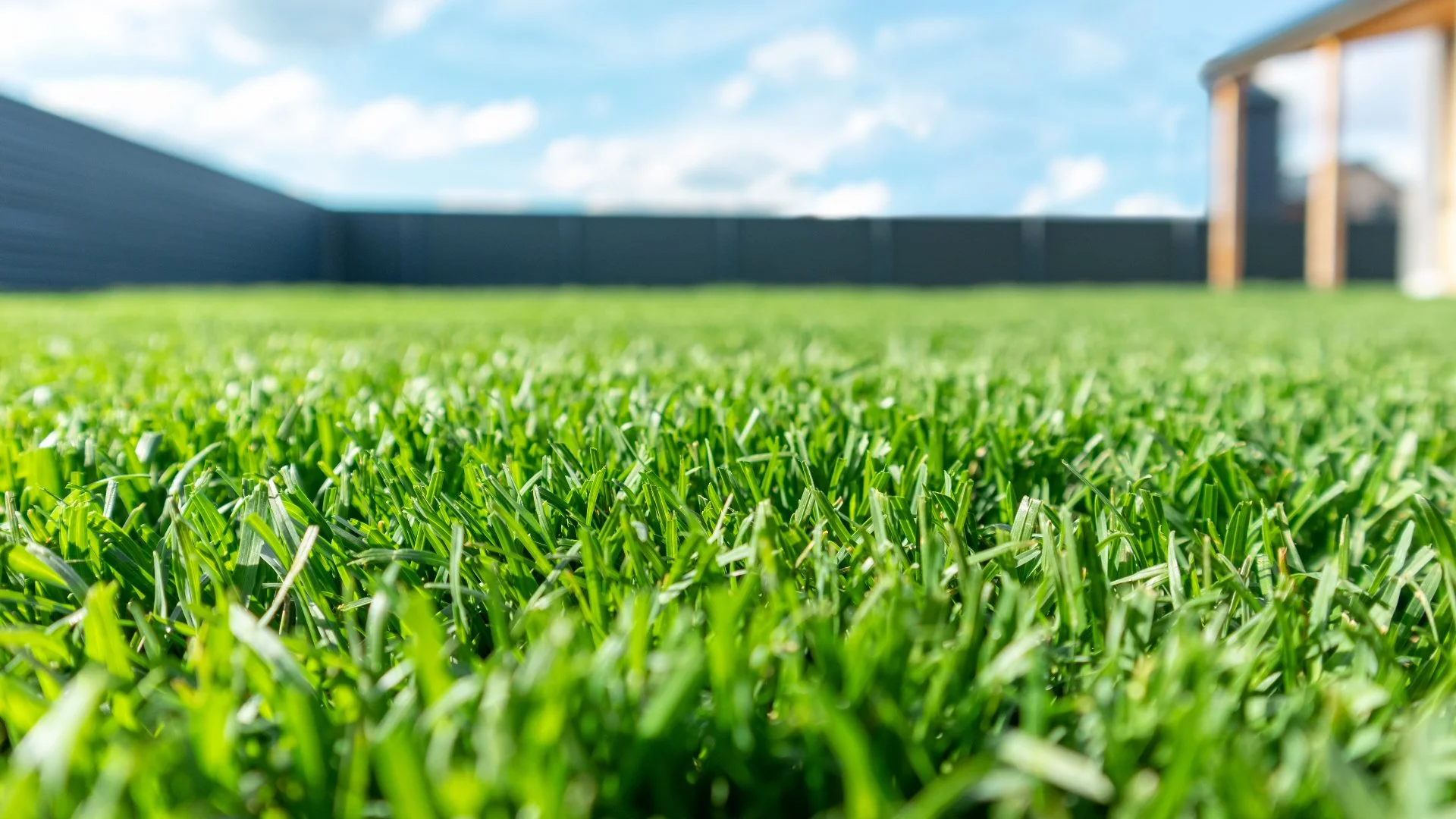 Fertilizer Can Help Your Struggling Grass Recover, but Don’t Use Too Much!