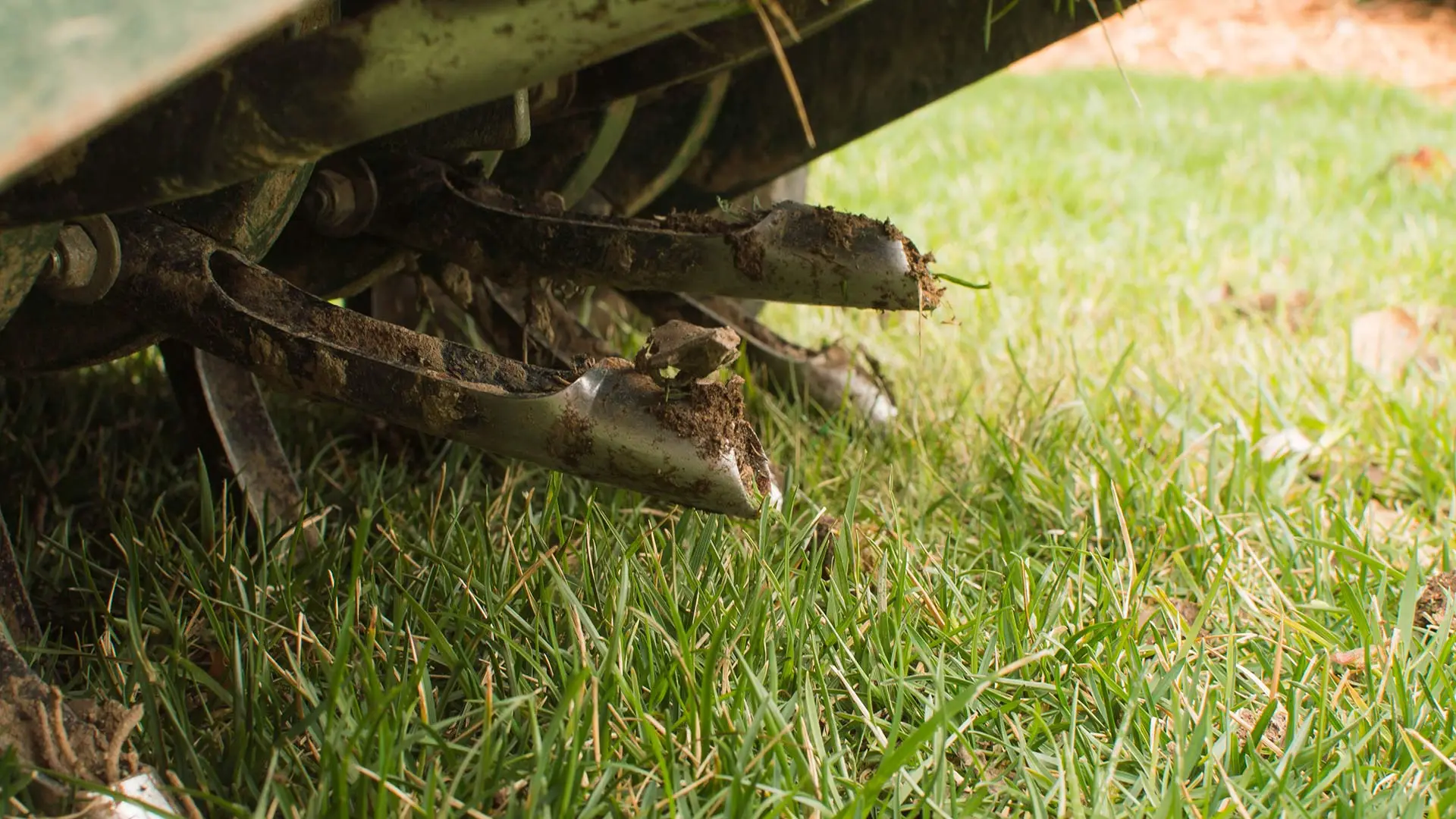 Core aerator machine in a lawn in Phoenix, AZ.