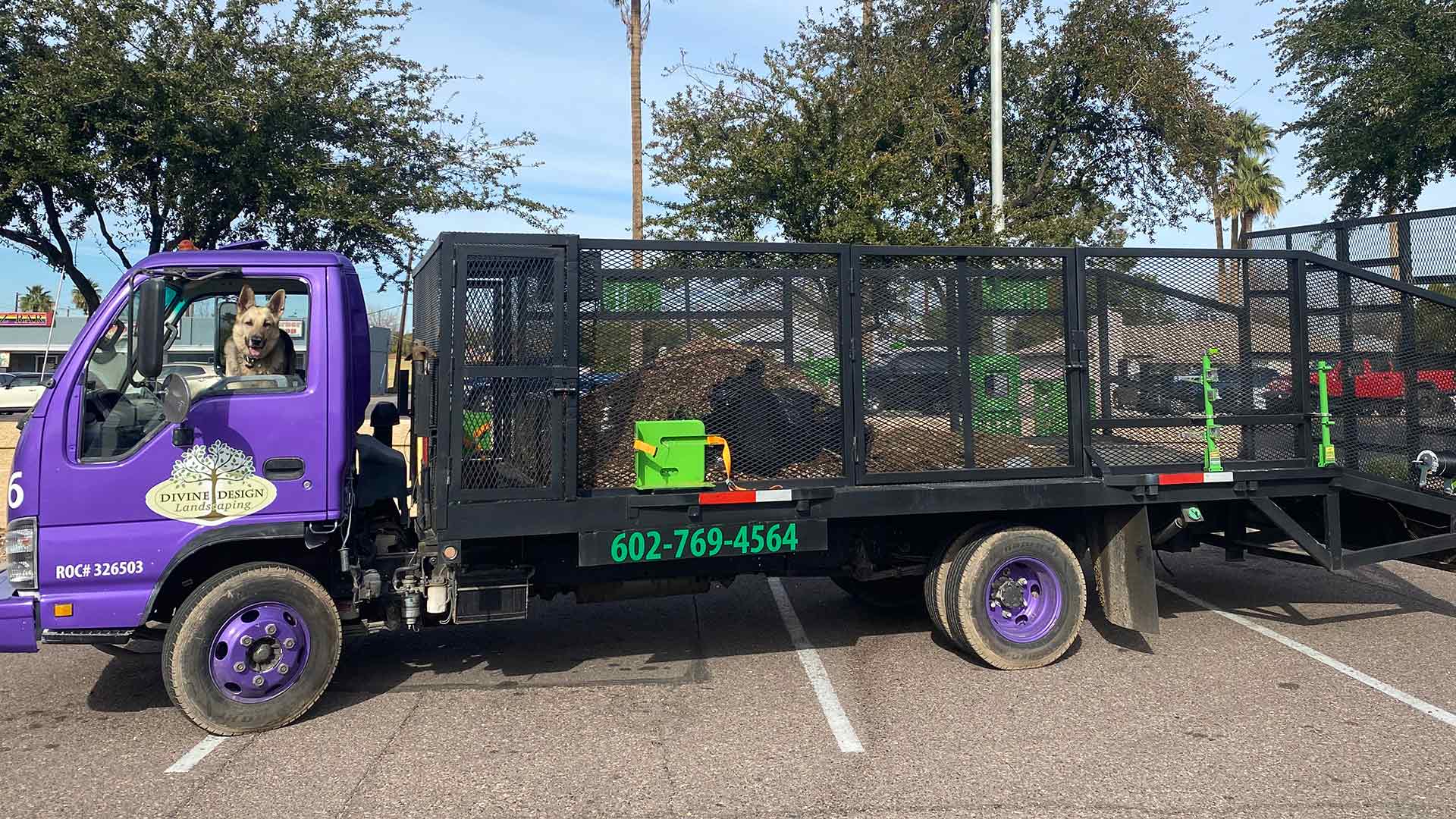 Branding truck parked with dog posing in Phoenix, AZ.