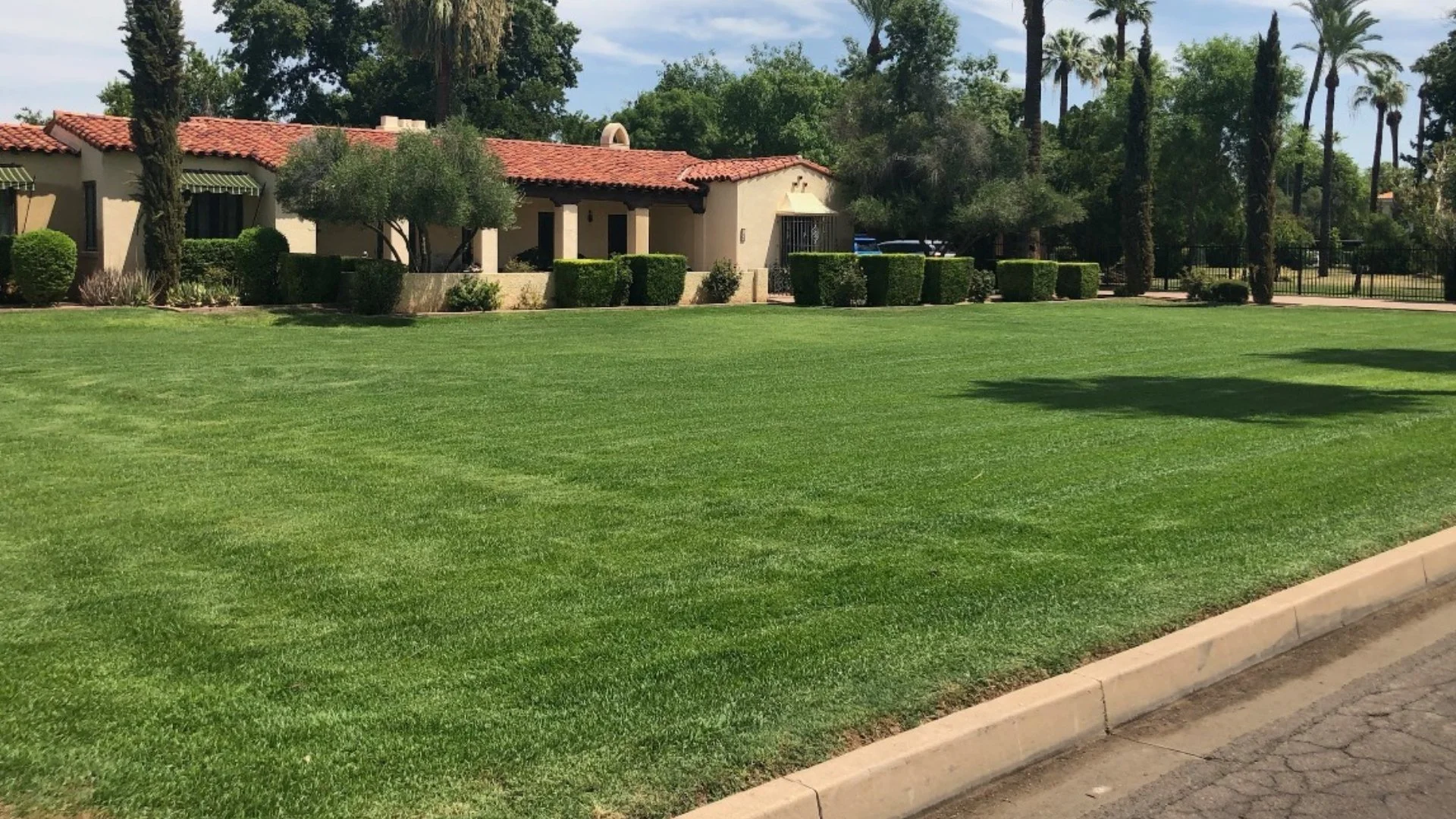 Don’t Mow Your Lawn Right After It Rained - Wait for It to Dry!