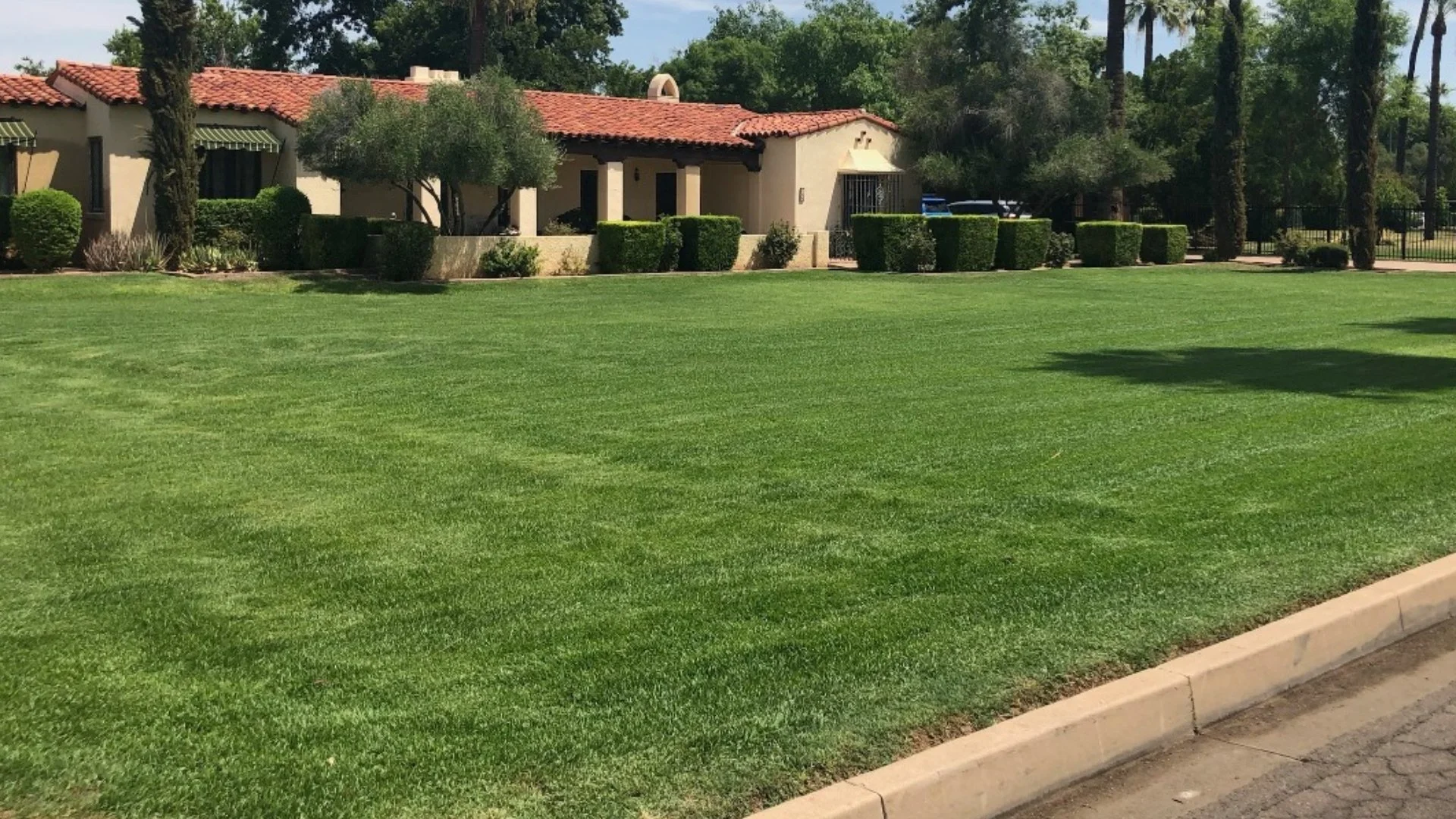 A Fall Cleanup Will Enhance the Health & Appearance of Your Lawn This Fall