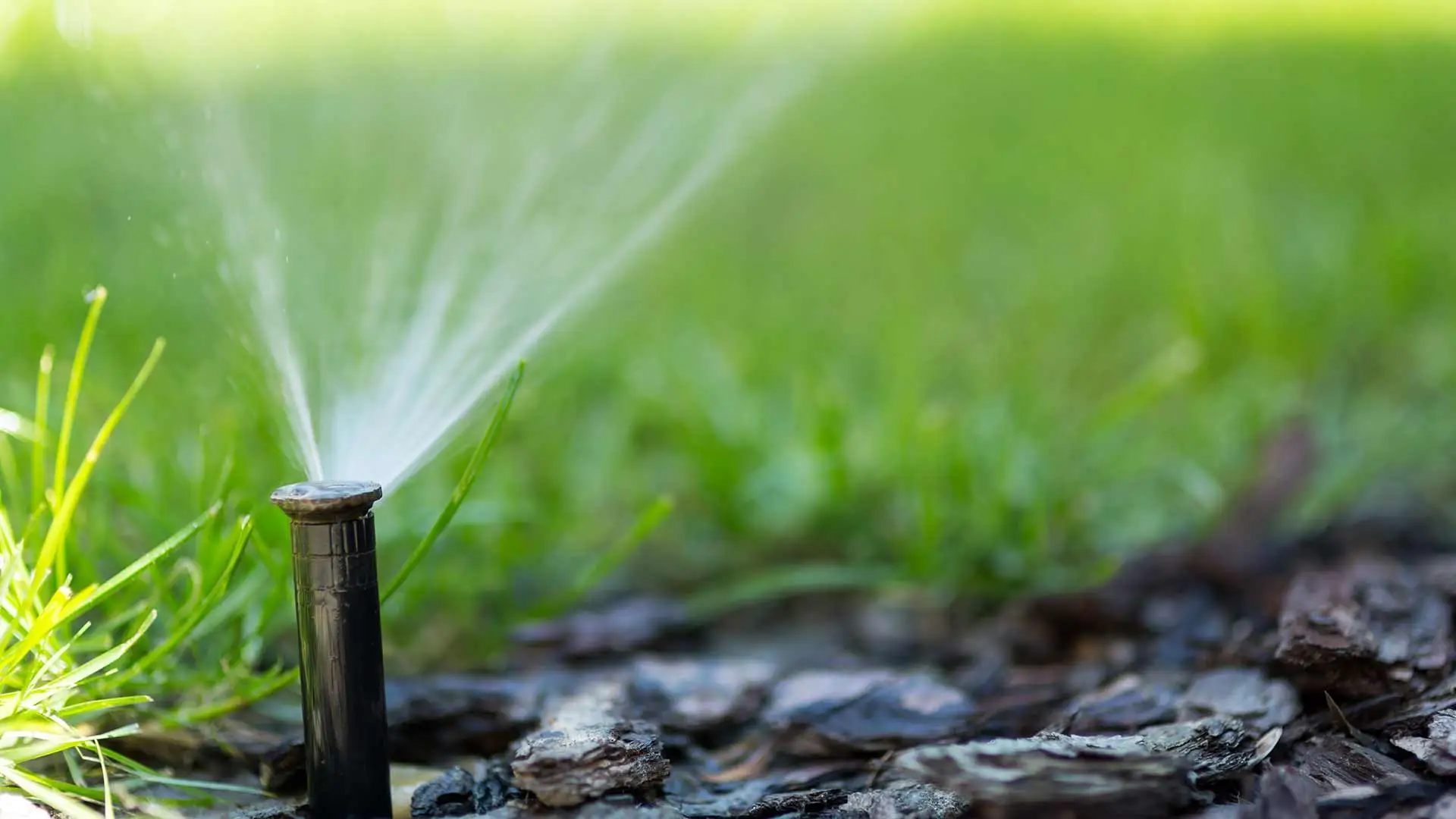 Irrigation sprinkler watering a lawn in Scottsdale, AZ.