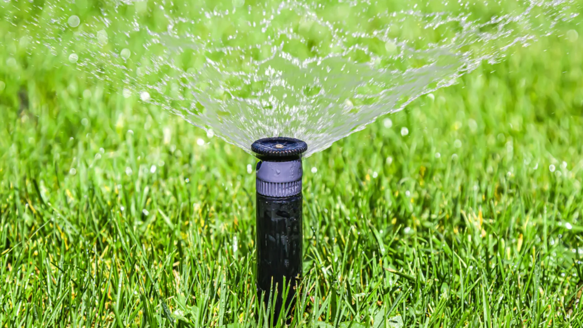 Factors That Play a Role in the Cost of Your Irrigation Installation