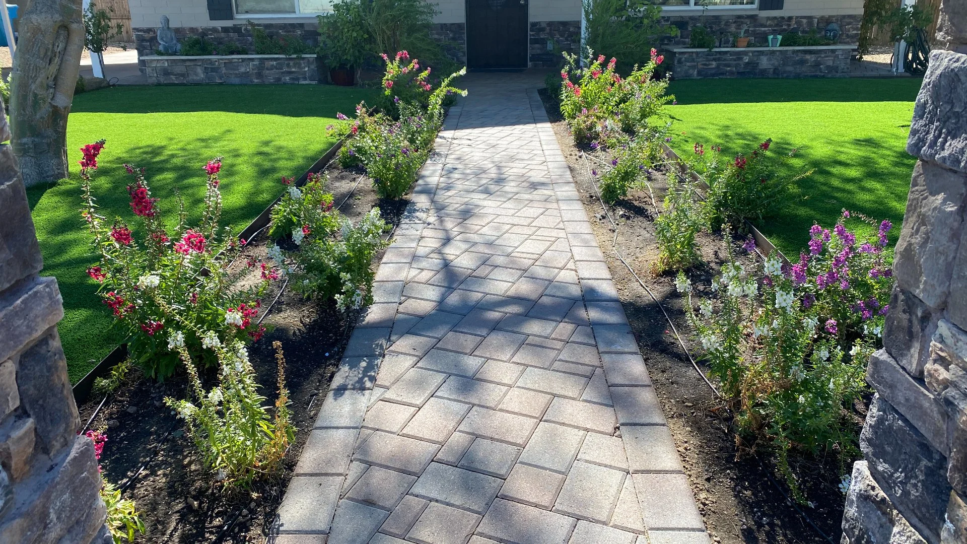 Comparing Annual Flowers & Perennials - Which Should You Install?