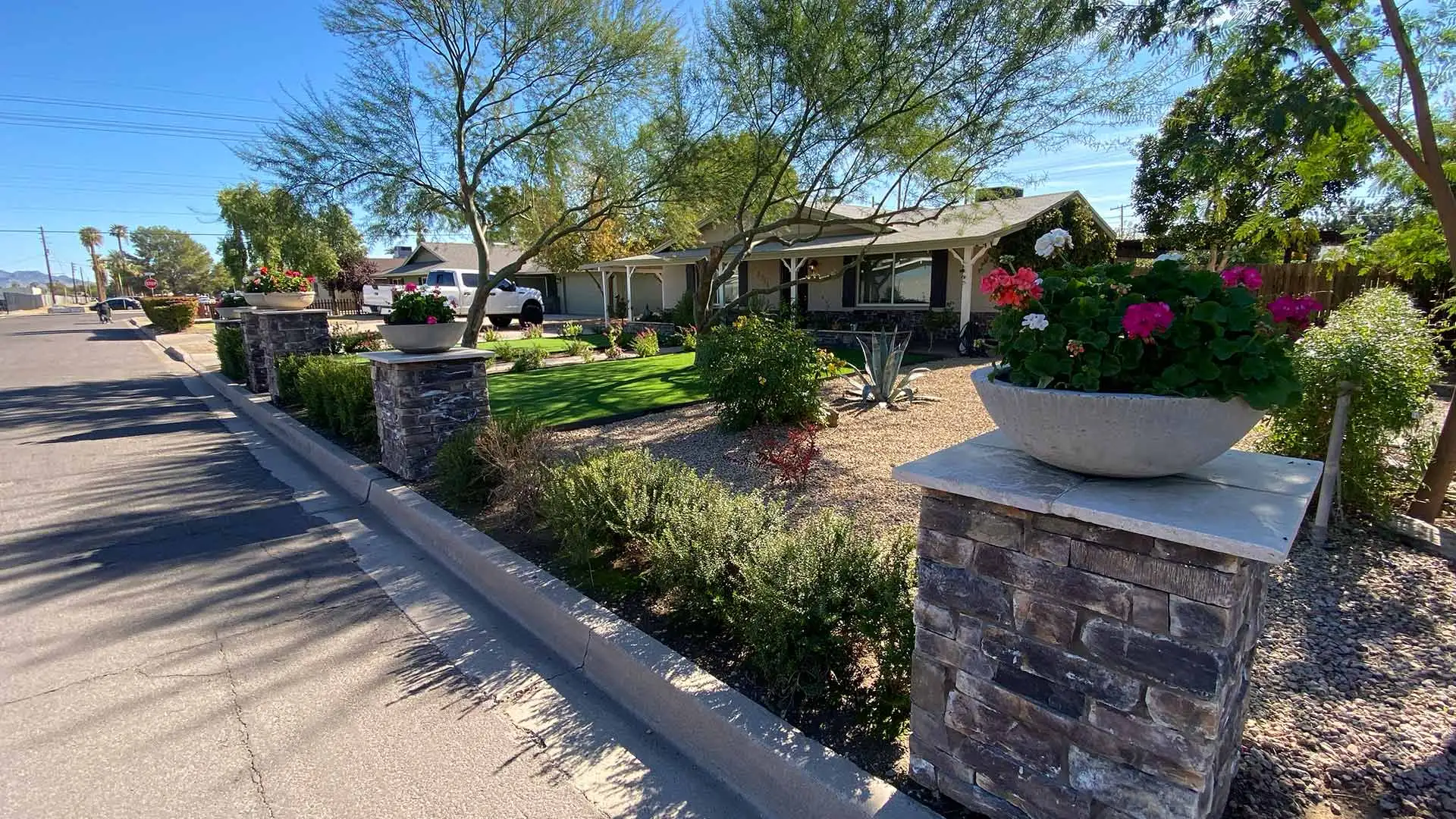 Landscape plantings along road in front of a home in Phoenix, AZ.