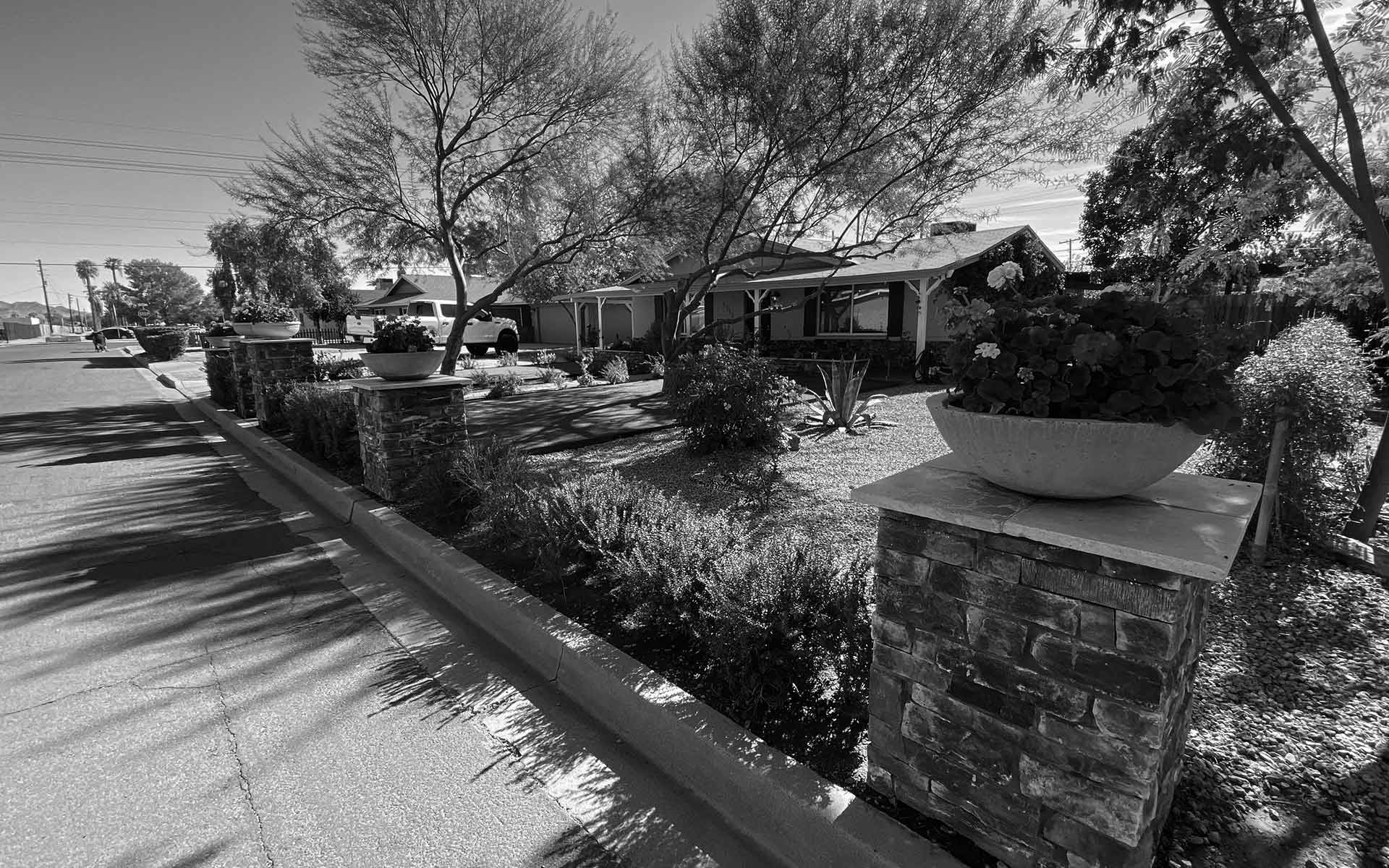Landscape renovation in Scottsdale, AZ in black and white.