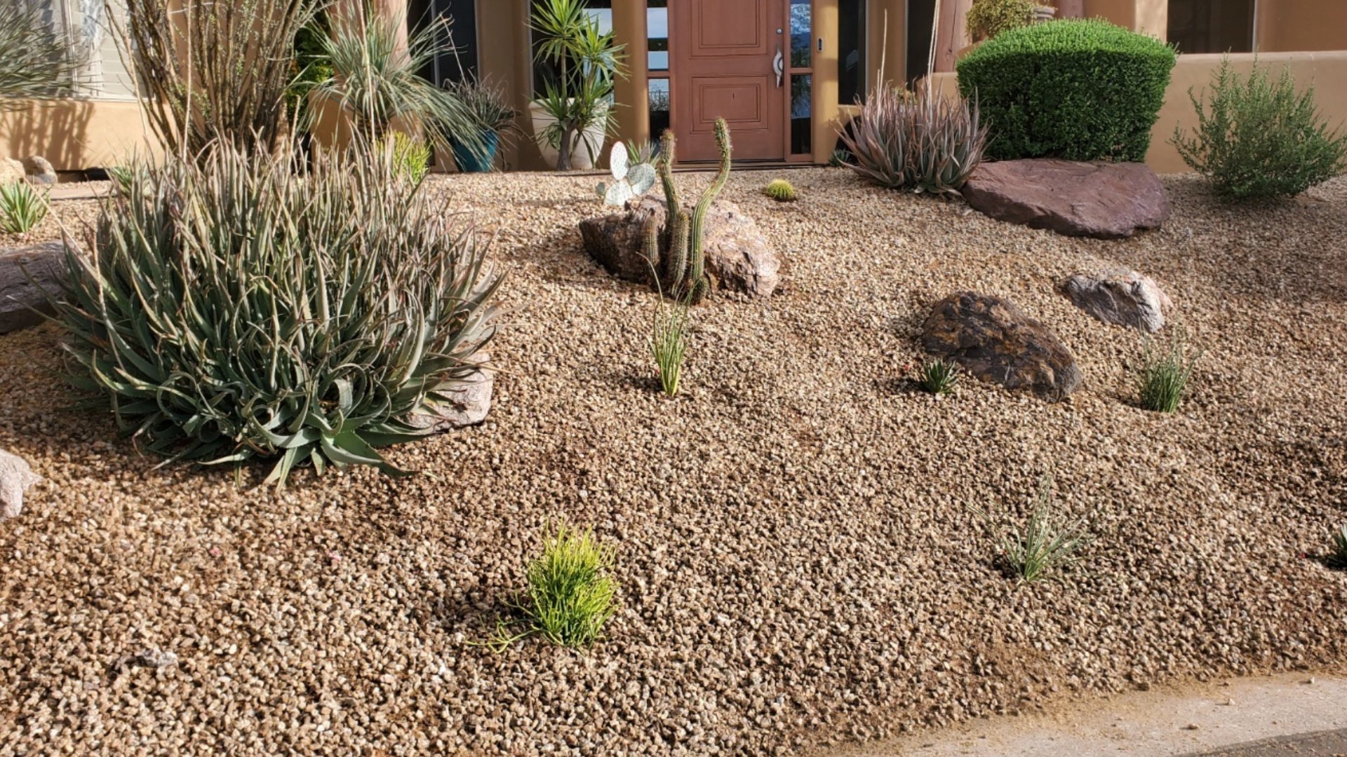 Xeriscaping - What Is It & Why It's Important for Landscapes in Arizona