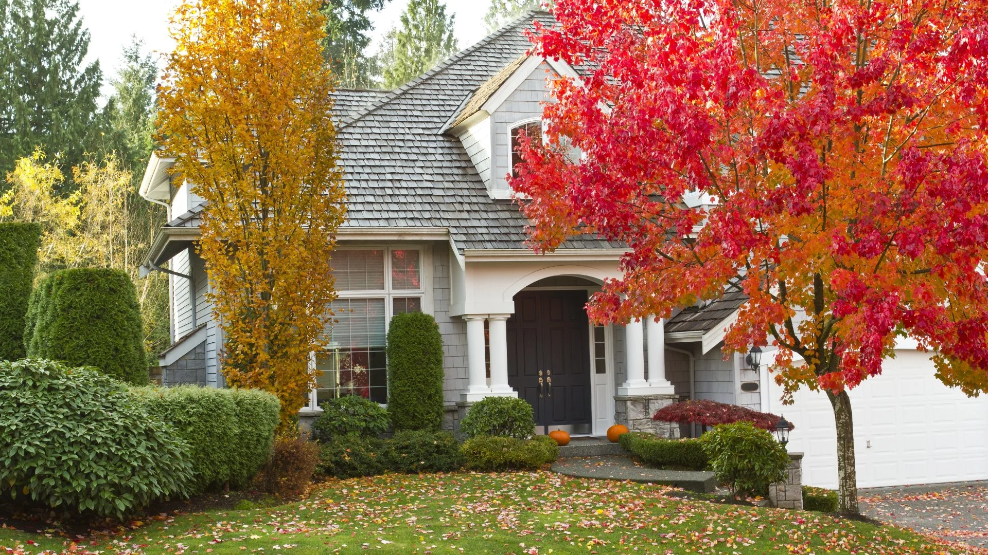 What Is a Fall Cleanup?