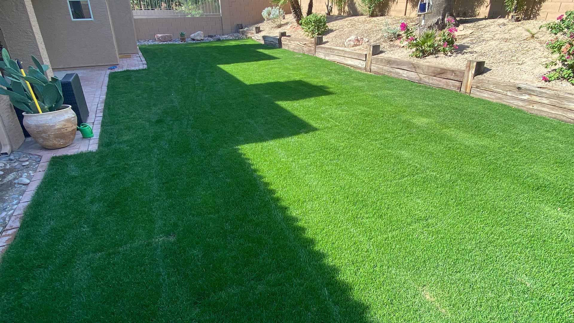 Lush, green sod installation in a yard near Paradise Valley, Arizona.