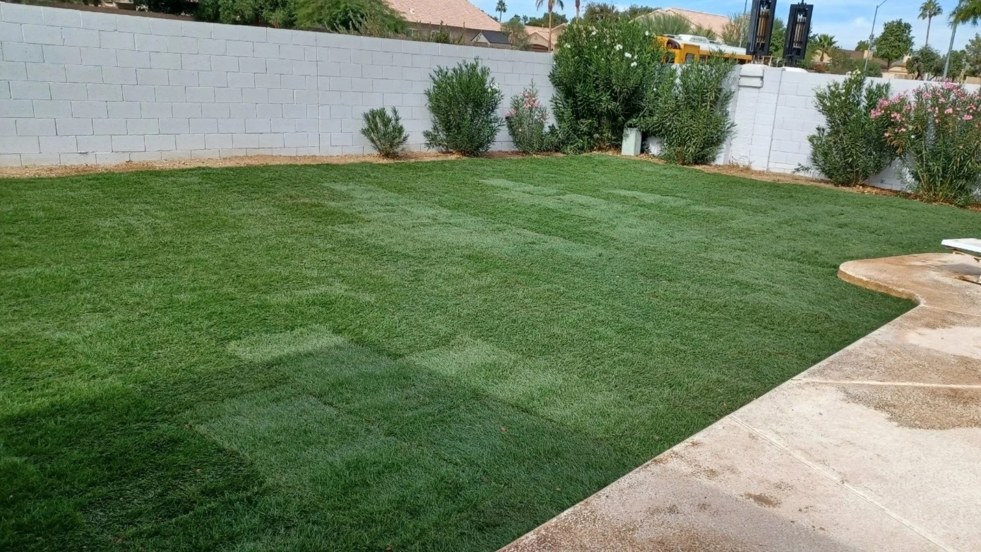 Does Sod Need a Lot of Water When It's First Installed?