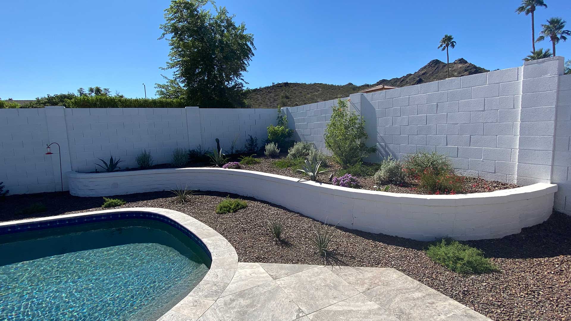 A retaining wall built with plantings installed in Phoenix, AZ.