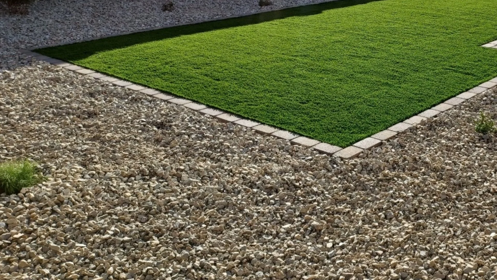 Can a Rock Ground Cover Keep Plants Healthy?