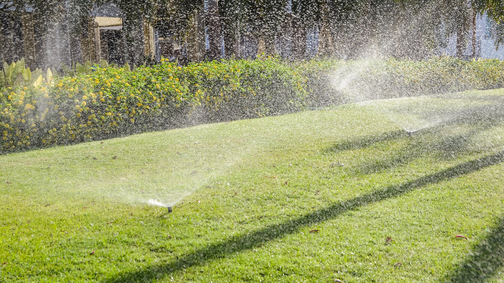 Follow This Watering Schedule for Your Lawn & Gardens in Arizona