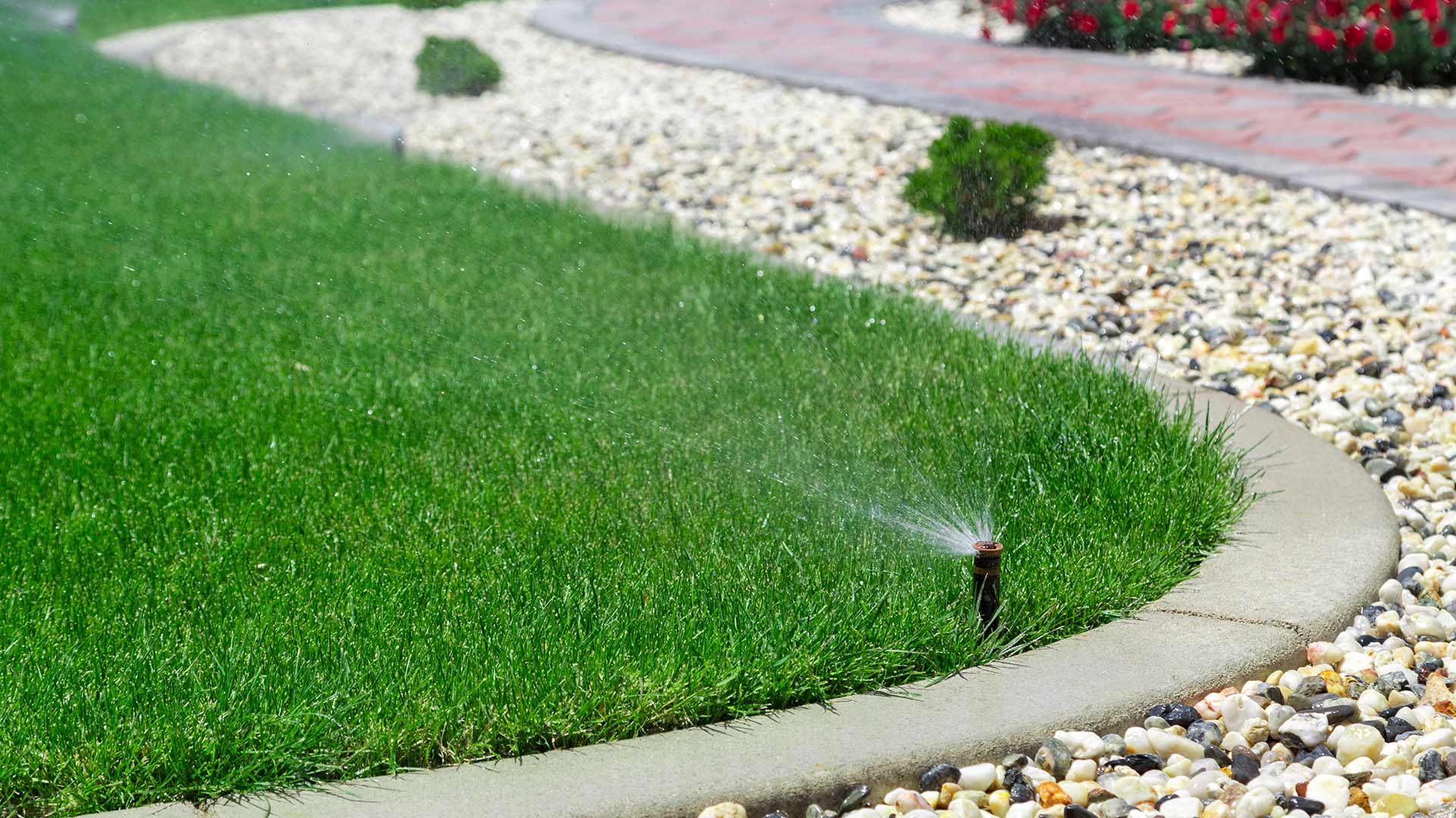 A new irrigation system watering lawn beside a rock landscape in Phoenix, AZ.