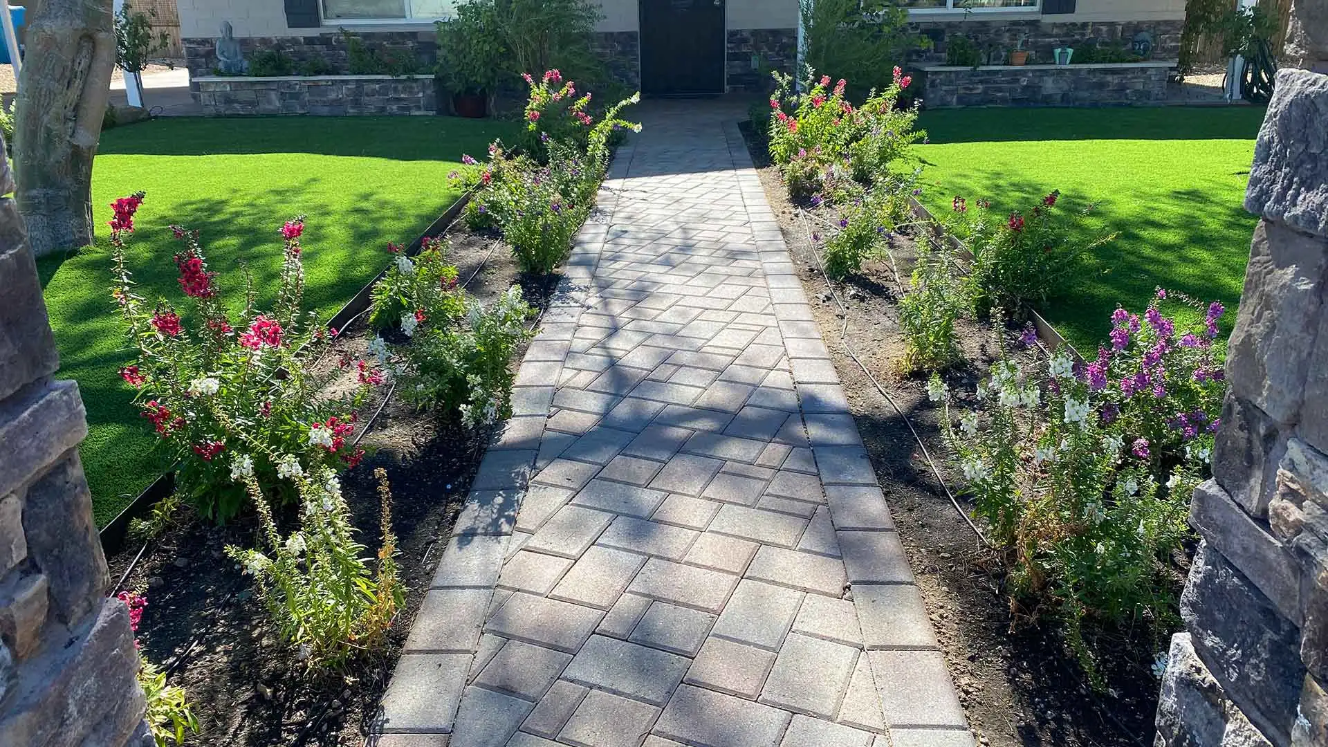 Turf and softscapes installed for a client in Glendale, AZ.