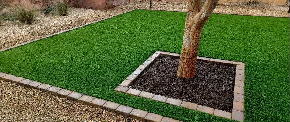 Square section of artificial turf in Phoenix, AZ, with a tree in the center.