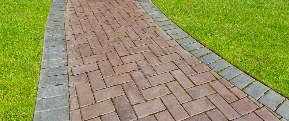 Concrete pavers for a walkway installed in Scottsdale, AZ.