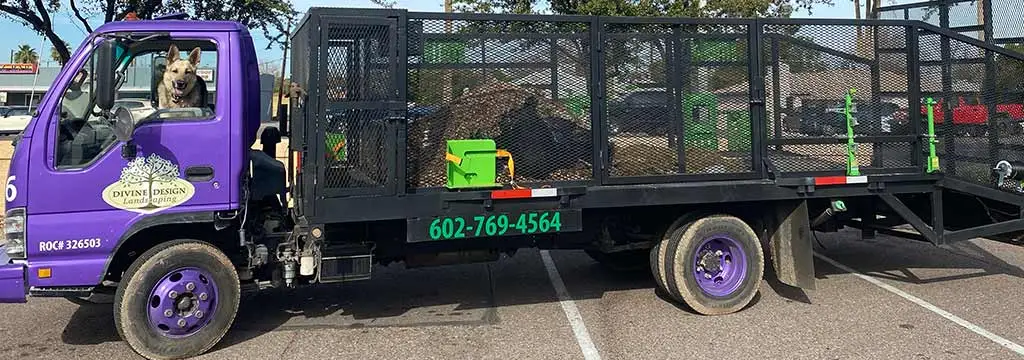 Divine Design Landscaping truck and trailer with dog in window near Scottsdale, AZ.