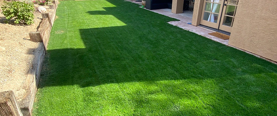 Installed sod in Paradise Valley, AZ.