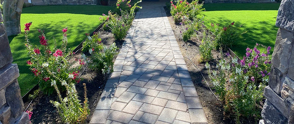 Landscape with a walkway, landscaping maintained, and plantings installed with new lawn in Scottsdale, AZ.