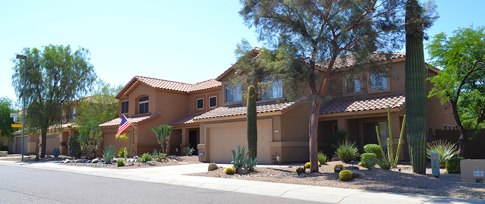 Maintained yard and landscape in Glendale, AZ.