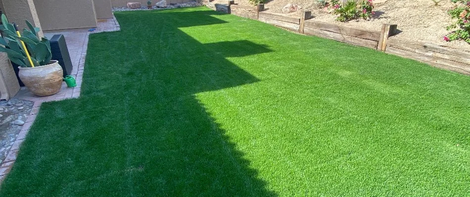 Newly installed sod in a backyard in Cave Creek, AZ.