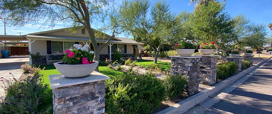 Refreshed yard with new plantings and annual flowers near Scottsdale, AZ.