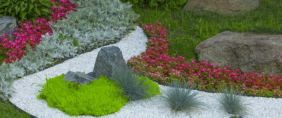 a 3D design rendering for landscape beds with plantings and rocks in Scottsdale, AZ.