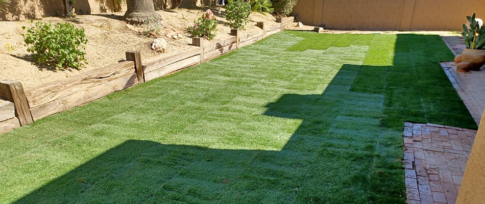 Sod squares installed for a client's home in Glendale, AZ.