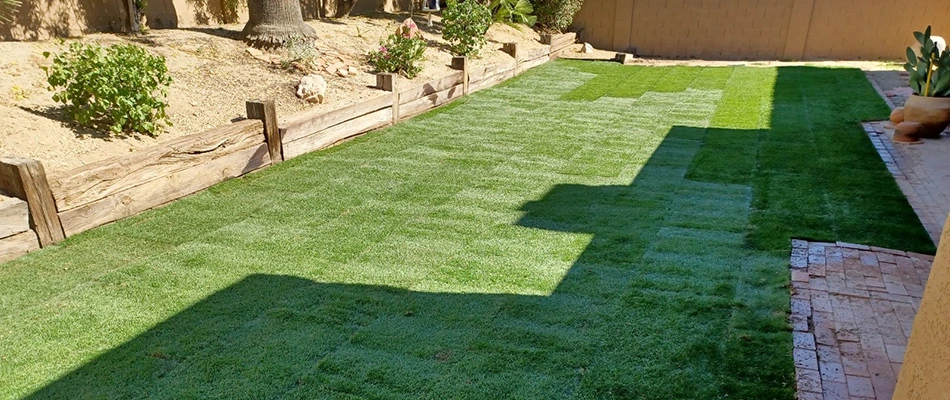 Sod squares installed for a client's home in Glendale, AZ.