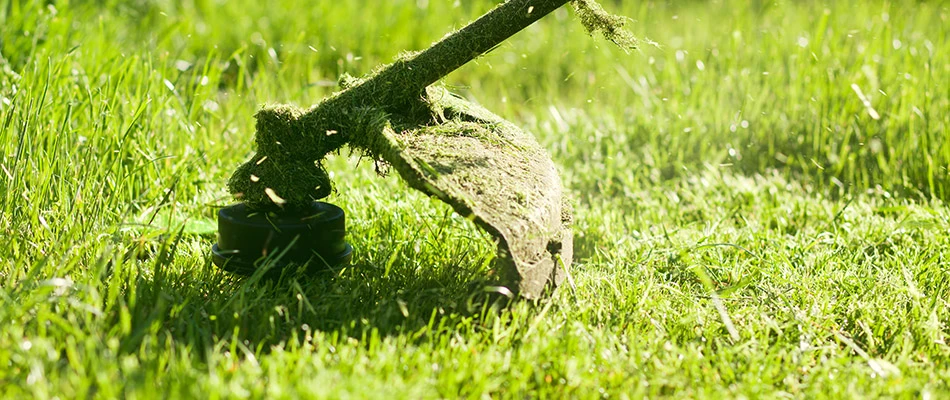 String trimmer being used during lawn mowing service in Paradise Valley, AZ.