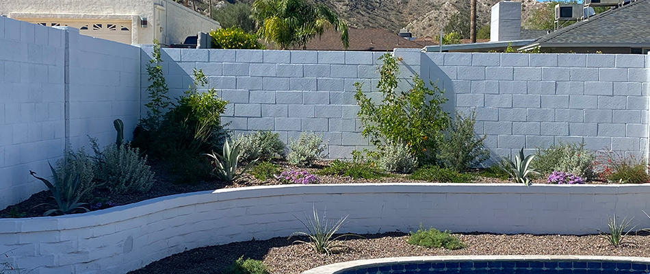 White retaining wall installed with landscape beds and plantings in Phoenix, AZ.