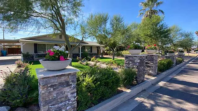 Yard with plantings and blooming flower landscaping in Scottsdale, AZ.